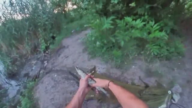 САЗАН, КАРАСЬ, ЩУКА НА КАСТИНГОВУЮ СЕТЬ РАННИМ УТРОМ!!!.mp4