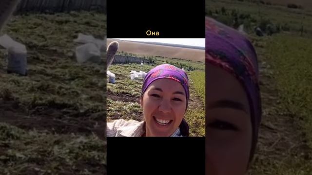 топ видео