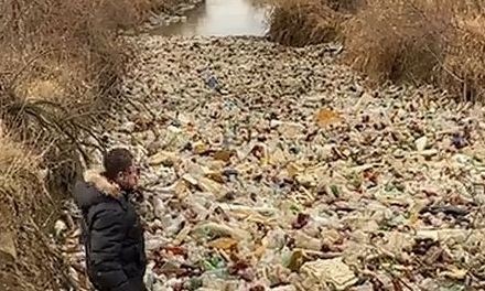 Шокирующие кадры. На реке Калаус на Ставрополье обнаружили плотину из мусора
