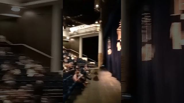 Прогулки по Москве:Московский международный Дом Музыки, театральный зал