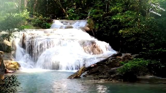 Белый Шум Водопада и Пение Птиц для Сна Детей