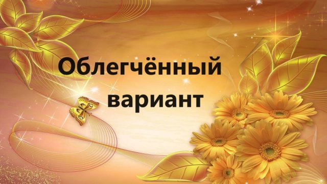 Эко сумка,сумка антипакет.(июль 2024г)