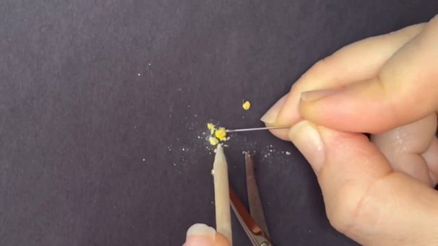 ОПЫЛЕНИЕ ФИАЛКИ. СЕЛЕКЦИЯ СЕНПОЛИЙ. СЕМЕНА УЗУМБАРСКОЙ ФИАЛКИ.