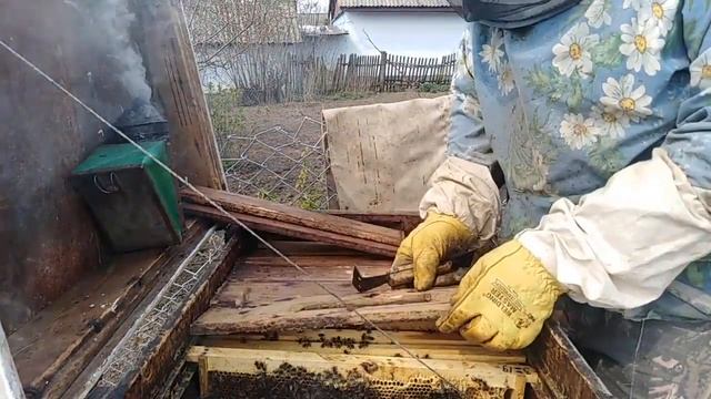 Большое подрамочное пространство в ульях лежаках Развитие пчел Пасека