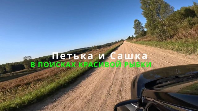 Выезд за пятнами 07.09.2024
#впоискахпятен