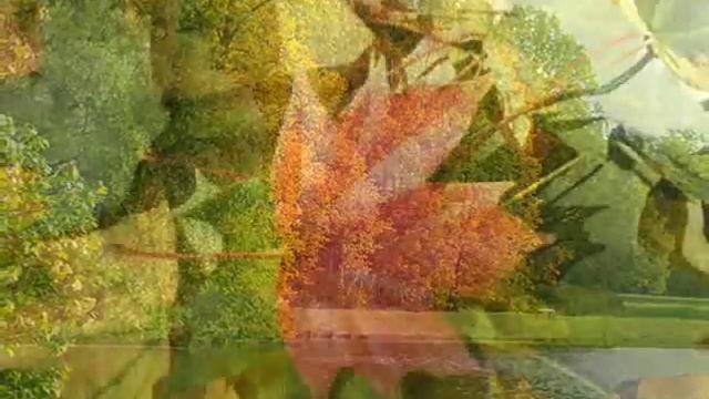 ПОСЛЕ БАЛА... Д. МАЛИКОВ.wmv