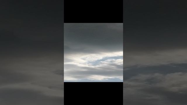 VID_20230716_170606.mp4
