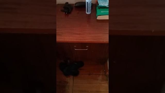 Отдых май 2017 год военный санаторий Ялта