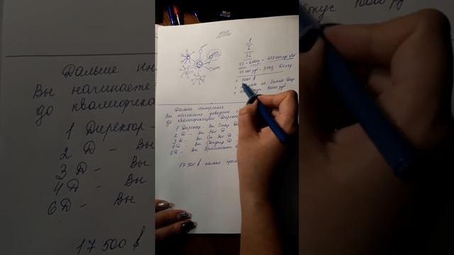 Вводный курс для новичка