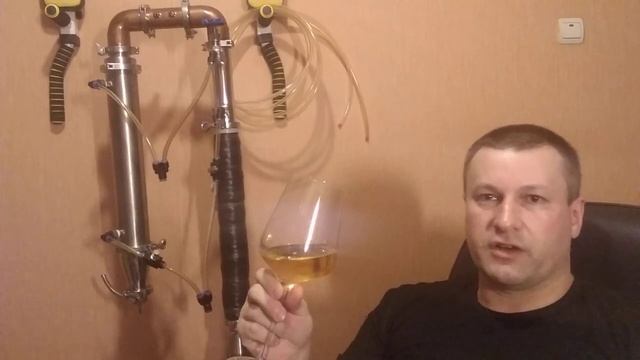 Сухое домашнее ? вино из винограда сорта Цитрин.