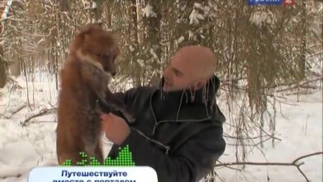 Рейтинг Баженова самые опасные животные России часть18