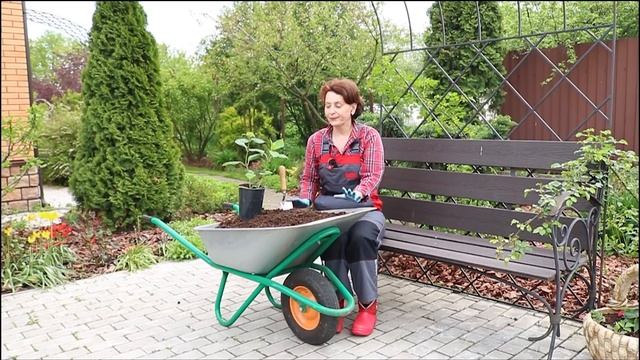 Мульчирование почвы I Сад Людмилы Кудасовой