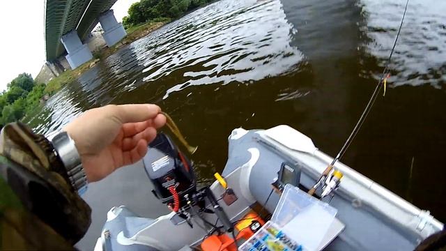 Судак 3.4кг! на отводной поводок и ловля на джиг.