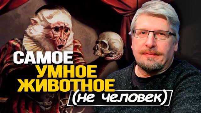 Потенциал обезьян, инопланетные осьминоги и реальные механизмы продления жизни. Профессор Савельев