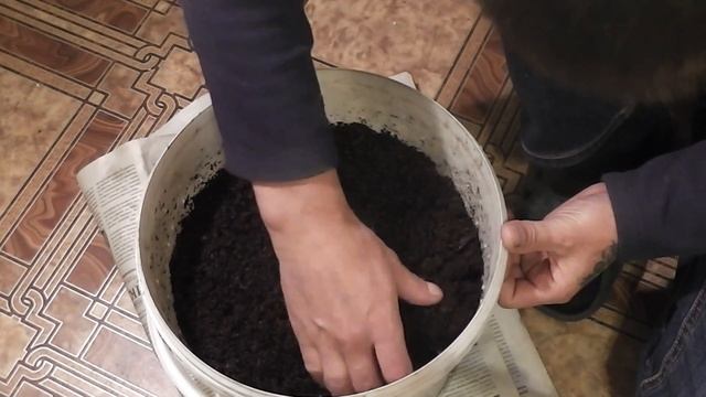 Как сохранить червей на зиму в квартире.