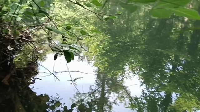 Черная речка, Крым