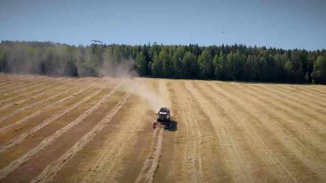 Как RSM 161 работает во влажном климате?