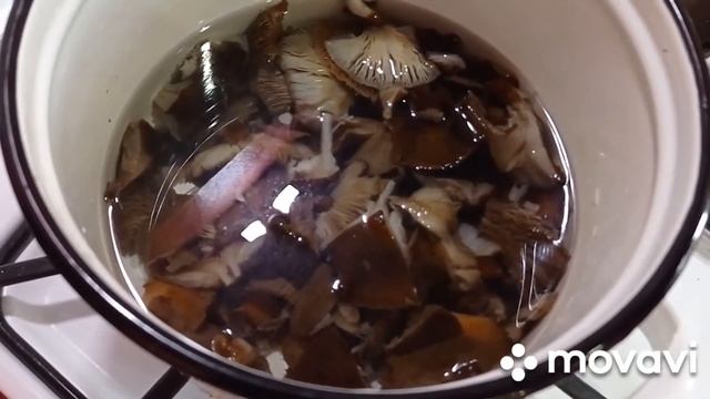 Варим грибы "опята", в заморозку.