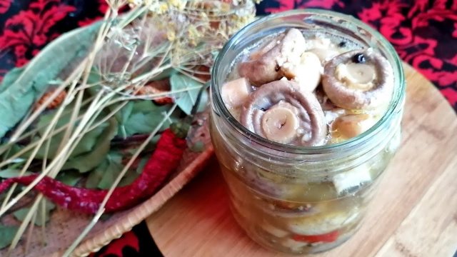 Маринованные ШАМПИНЬОНЫ на ЗИМУ без долгой возни - Грибы на зиму в банках