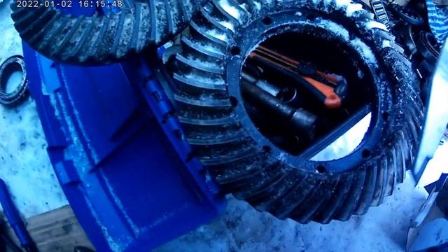 Разница главных пар газелей