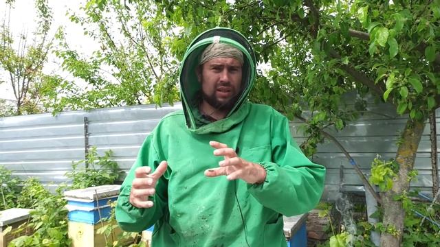 Когда можно делать отводки на пасеке. Как сделать качественный отводок пчел на пасеке до медосбора.