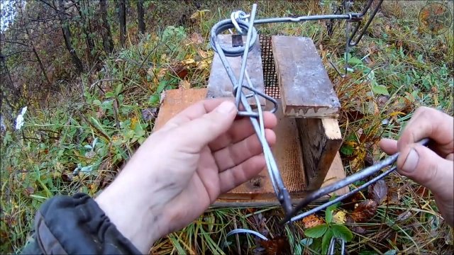 Новинка от СУАС.Внутренняя насторожка для кулемки (Будни охотника и рыбака)