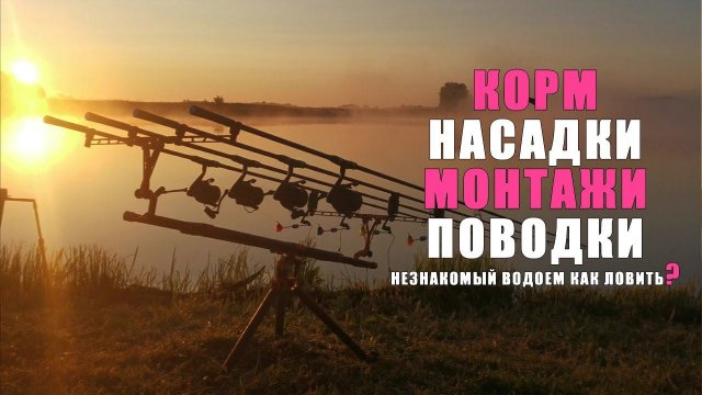КАРПФИШИНГ. Как ловить карпа на незнакомом водоеме? Понятно о карпфишинге