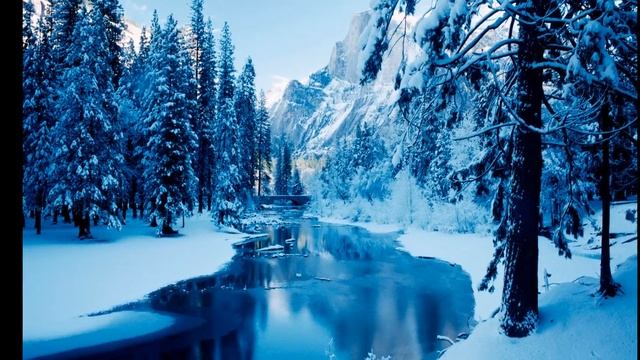 Bond - Winter