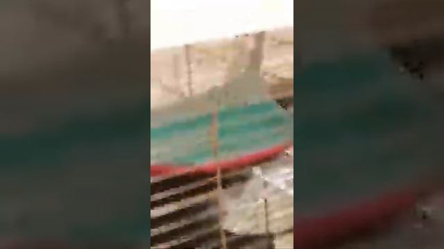 КАК СОДЕРЖАТЬ ШИНШИЛЛ И КАК ОТЛИЧИТЬ МАЛЬЧИКА ОТ ДЕВОЧКИ?