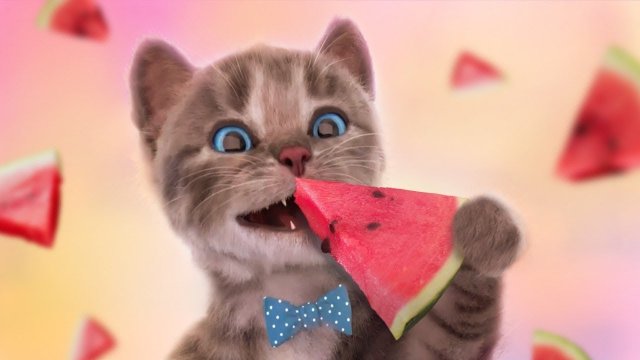 ПРИКЛЮЧЕНИЕ МАЛЕНЬКОГО КОТЕНКА мультик смешное видео для детей мультфильм про котиков!