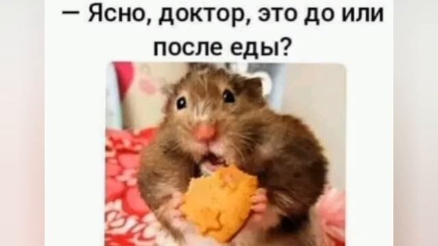 Юмор ?