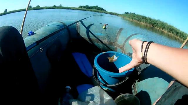 видео из архива 2