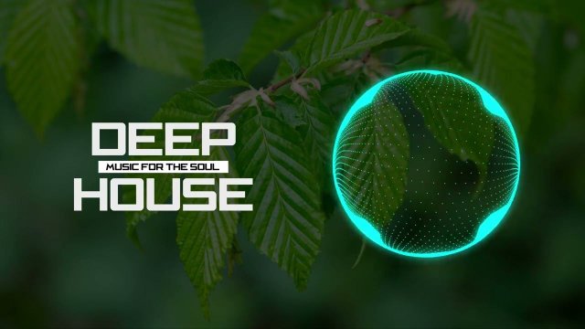 Sharapov - Just Me Reason (Papa Tin Remix)