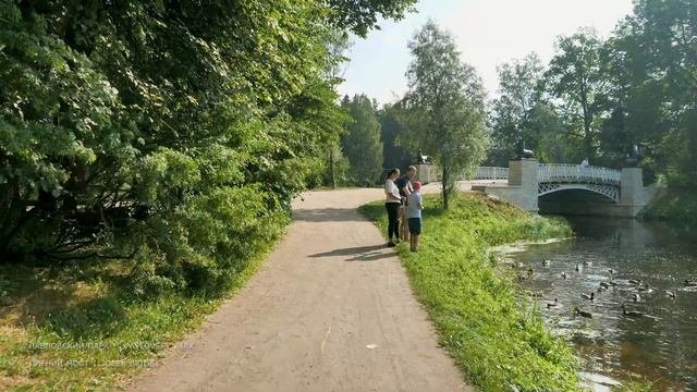 ПАВЛОВСК | ПАВЛОВСКИЙ ПАРК | 4K