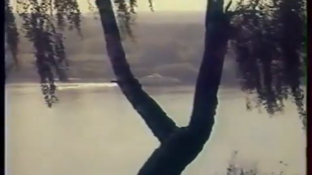 посмотри как всё красиво
