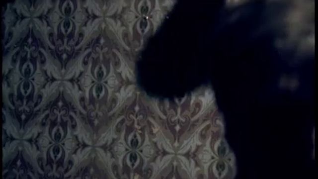FPG - Ночь (КИНО cover )