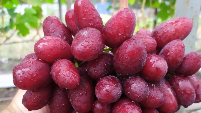 КВАЗАР и другие вкусняшки !!!
