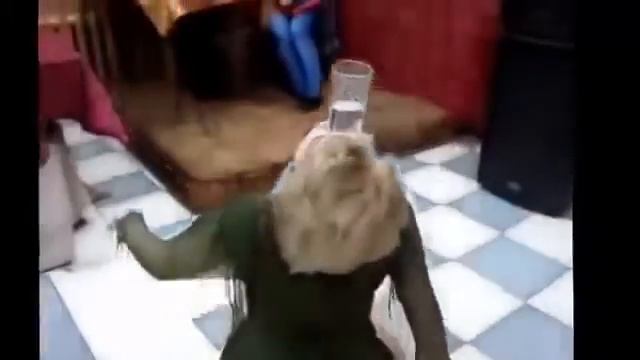 приколы драки на свадьбах