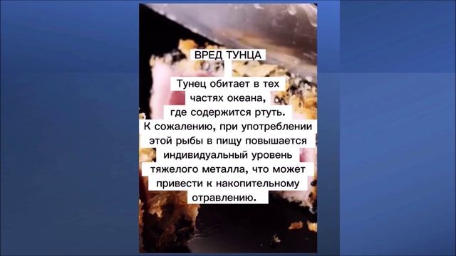 Тунец