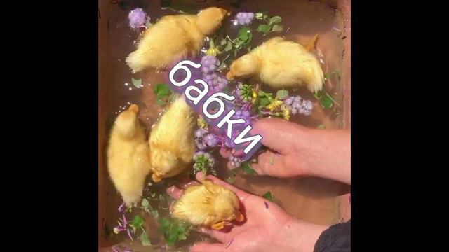 Пой если знаешь эти песни