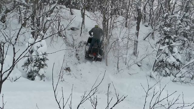 Вижас.В Новом году-Буран не берегу.