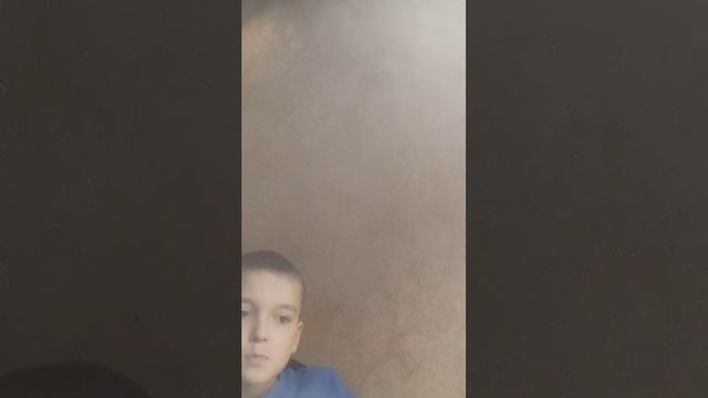 муравьи