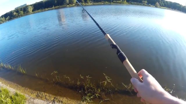 Матчевая удочка Daiwa Aqualite M420ML.