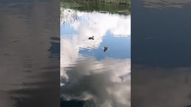 ПриРОДа! Завораживающая. Реально – нереальная. Магическая… Особенно – на Белтейн.