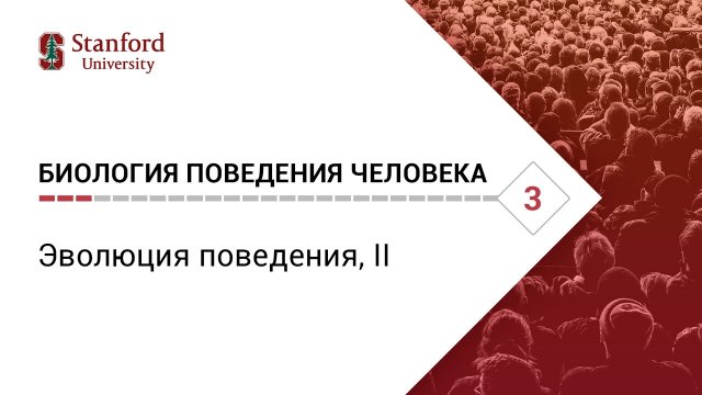 Биология поведения человека_ Лекция #3. Эволюция поведения, II [Роберт Сапольски, 2010. Стенфорд]