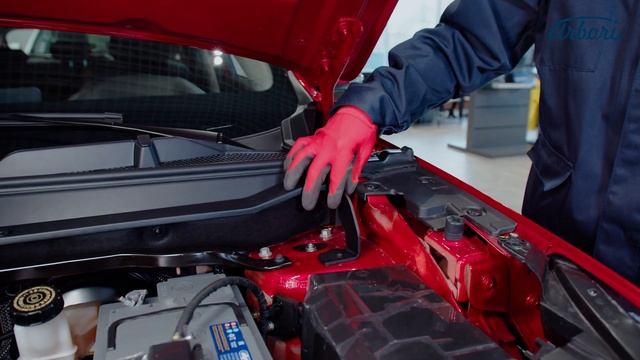 Динамические УПОРЫ КАПОТА ARBORI для Haval Jolion