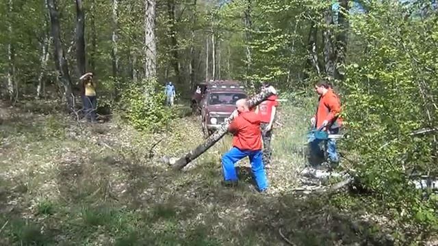 Дальмены. Богатырская поляна.