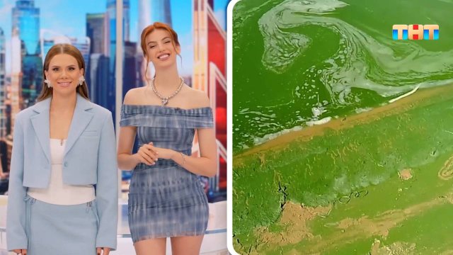 Про цветущую воду