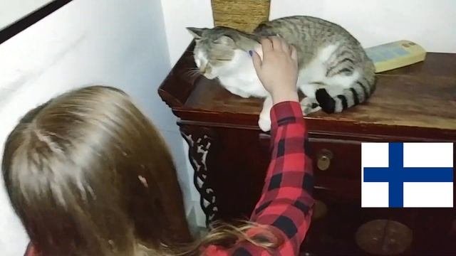 КИС-КИС-КИС или Как подзывают кошек в разных странах