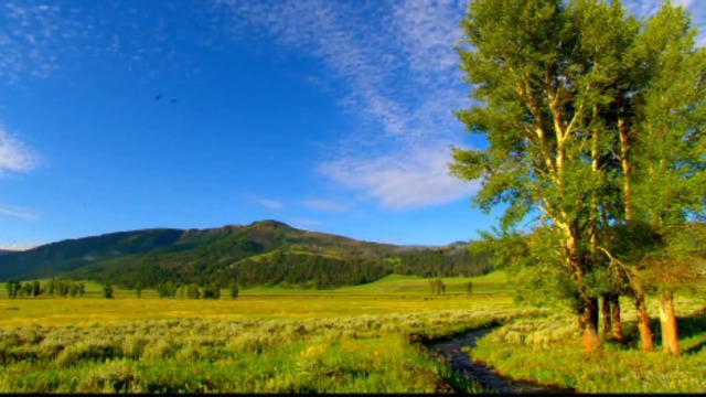 Потрясающие виды природы 